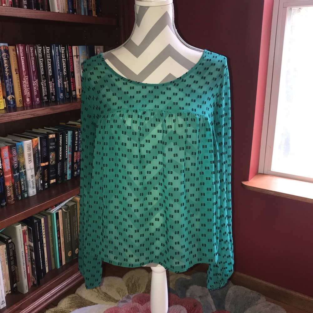 Merona Sheer Green Long Sleeve Blouse Size Large